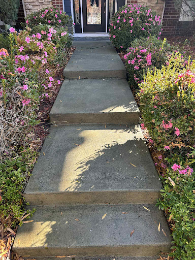 Photo from customer review