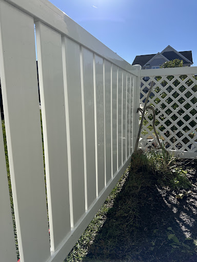 Photo from customer review