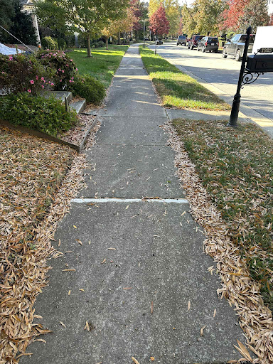 Photo from customer review